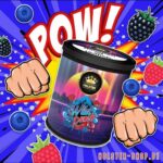 Holster Wild Punch 200gr